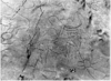 rock_art_twyfelfontein_003_thumb.png