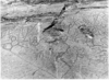 rock_art_twyfelfontein_004_thumb.png