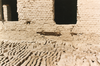 sesfontein_019_thumb.png