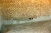 sesfontein_020_thumb.png